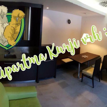 Apartma Kurji Vrh - Chicken Top 크라니스카고라 외부 사진