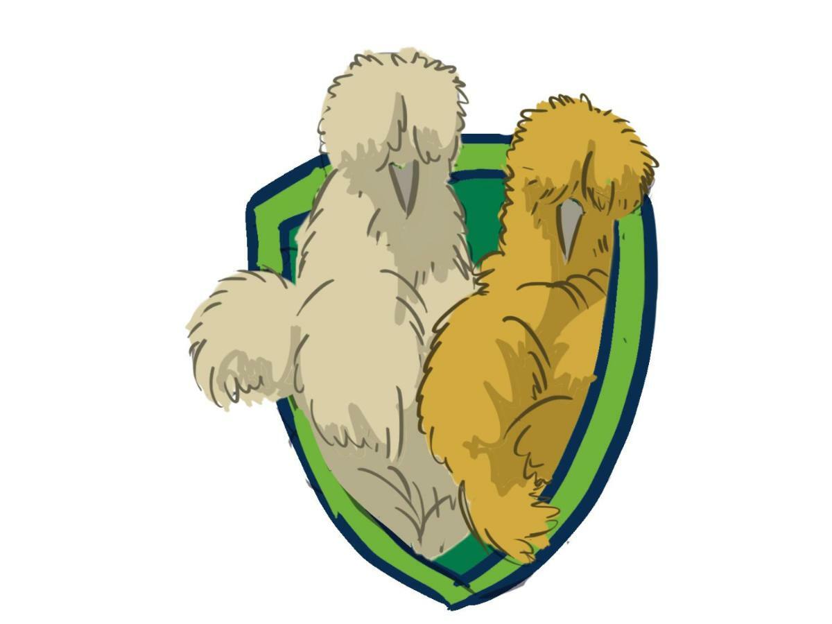 Apartma Kurji Vrh - Chicken Top 크라니스카고라 외부 사진